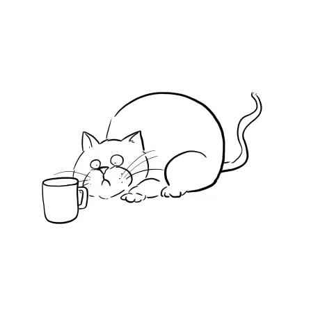 Cat GIF
