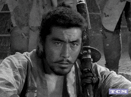 Akira Kurosawa Samurai Movie GIF by Turner Classic Movies