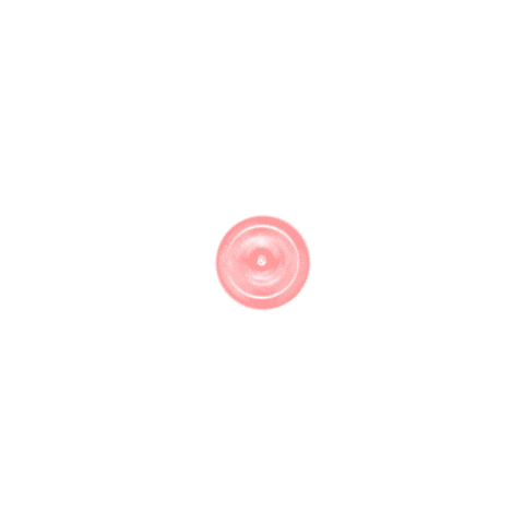 Pink Rose Sticker by LoveAndGreen
