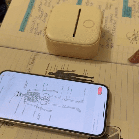 Animated GIF
