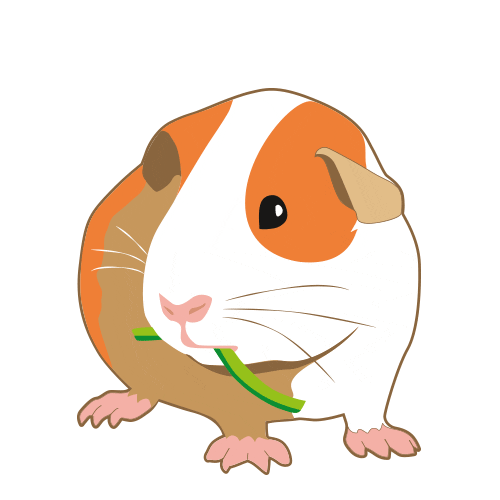 Rodent Guineapig Sticker by Little One