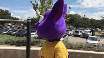 ACCDistrict GIF
