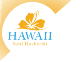 hawaiisahlhasheesh GIF