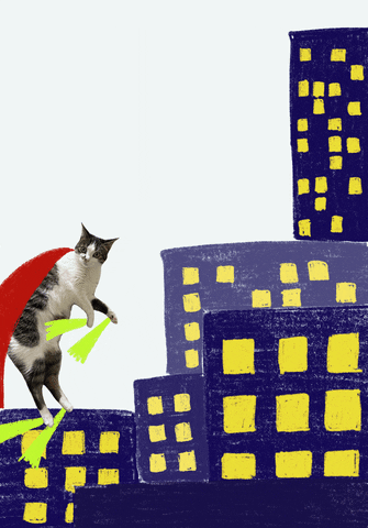 laletuncbilek cat animation cartoon flying GIF
