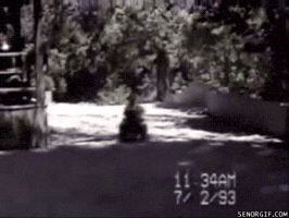 https://media2.giphy.com/media/XDBKtGWnTxj6U/200.gif