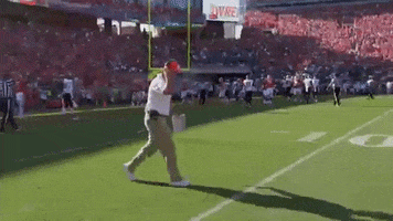 Go Tigers Yes GIF by Clemson Tigers