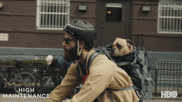 The Guy Dog GIF by High Maintenance