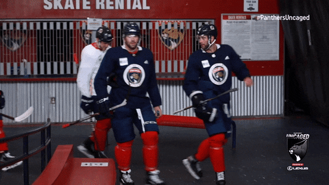 Hockey Cats GIF by Florida Panthers - Find & Share on GIPHY