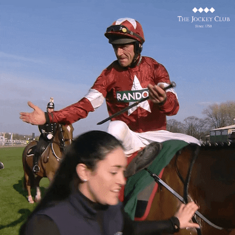happy horse racing GIF by The Jockey Club