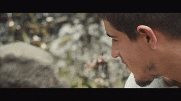 Monos GIF