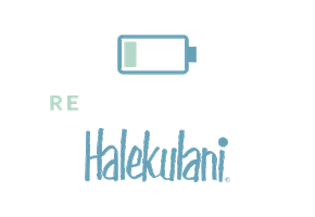 Relax Hawaii Sticker by Halekulani