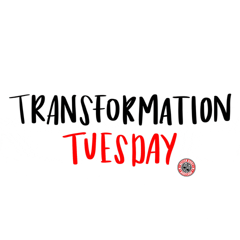 Better Body Bootcamp GIF