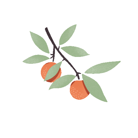 Summer Sticker
