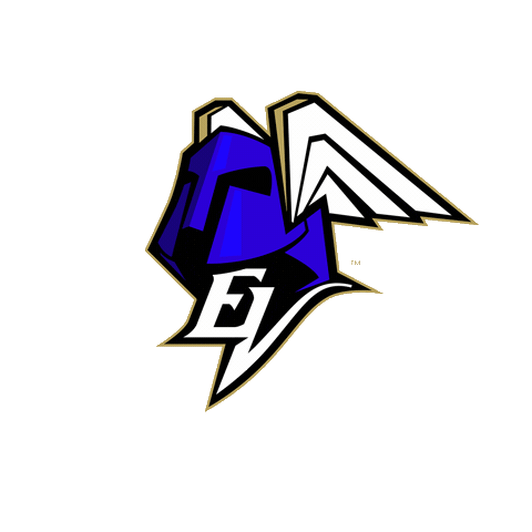 Floorball Salibandy Sticker by EräViikingit