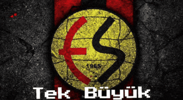 Eskisehirspor GIF