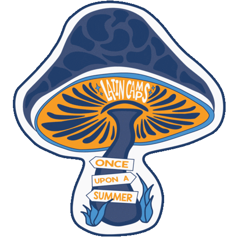 Charlotte Latin Summer Day Camps Sticker