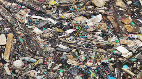 Plastics Plastic Pollution GIF by Oceana - Find & Share on GIPHY