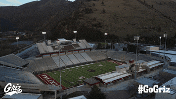 Football Stadium GIF by Montana Grizzlies