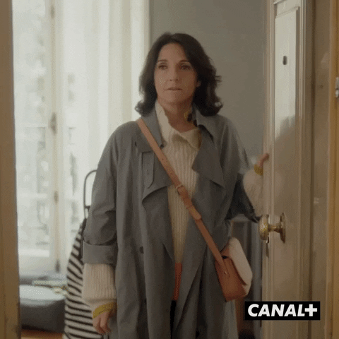 Manque Florence Foresti GIF by CANAL+