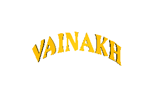 Culture Belgium Sticker by 101vainakh