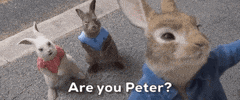 Sony GIF by Peter Rabbit Movie