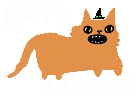 Cat Halloween Sticker by Tobyilikecats