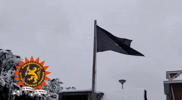 Brabant GIF