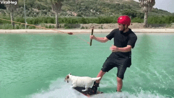 200.gif