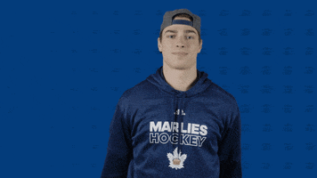 Lets Go Hockey GIF by Toronto Marlies