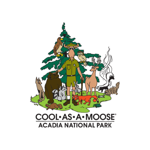 coolasamoose Sticker