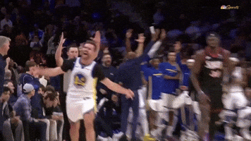 Warriors GIF