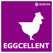 Chicken Egg GIF by Evonik