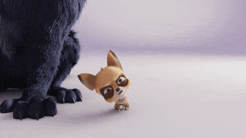 Twitchy GIFs - Find & Share on GIPHY