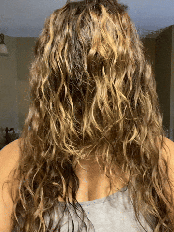 National-cury-hair-day GIFs - Get the best GIF on GIPHY National-cury-hair-day GIFs - Get the best GIF on GIPHY