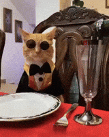 New Year Wow GIF by JustViral.Net