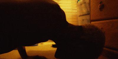 Waves GIF by A24