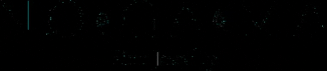 nogamajewelry GIF