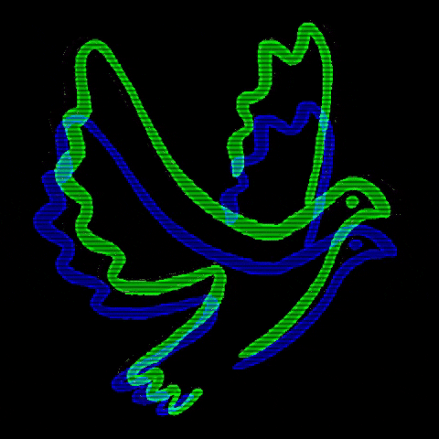 @brieftaubenaktion GIF