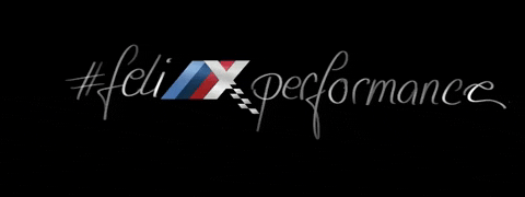 BMW Felix GIF