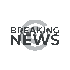 Cristina Cher Sticker