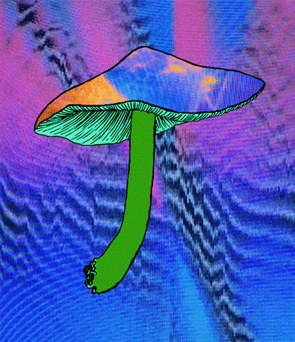 cypola trippy vhs mushroom psychedelics GIF
