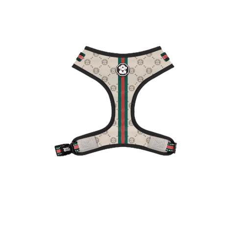 Fresh Pawz Sticker