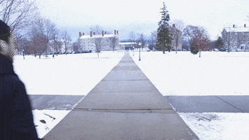 Landscape Vermont GIF by Middlebury