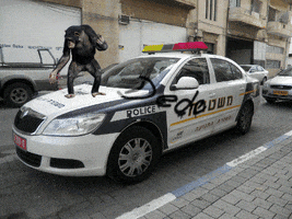 200.gif?cid=fc005b08c8b0a01429232083ab6a645bef25a98b0d0d4235&rid=200.gif&ct=g