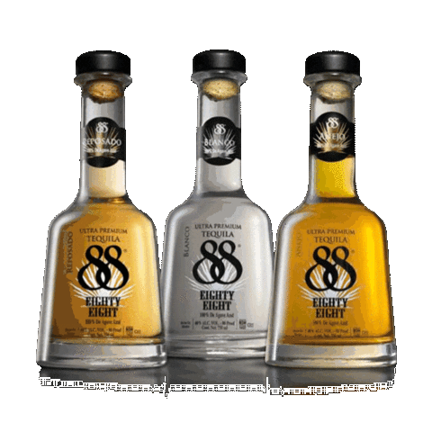 Shots Collection Sticker by 88 Spirits Corporation