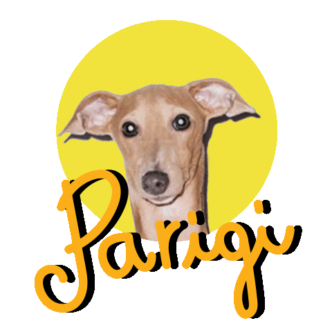 CoccoleBimbi Sticker