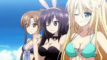 Absolute Duo GIF
