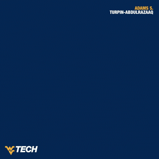 Wrestling GIF by WVU Tech Golden Bears