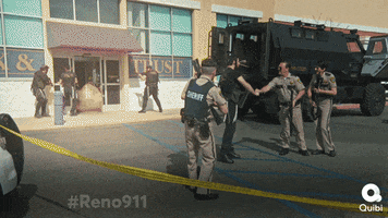 reno 911 jumping the shark bridge jumper reno 911 jumping the shark bridge jumper