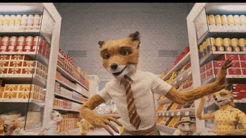 Wes Anderson Dancing GIF by Searchlight Pictures